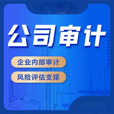 财务咨询等企业财税相关服务