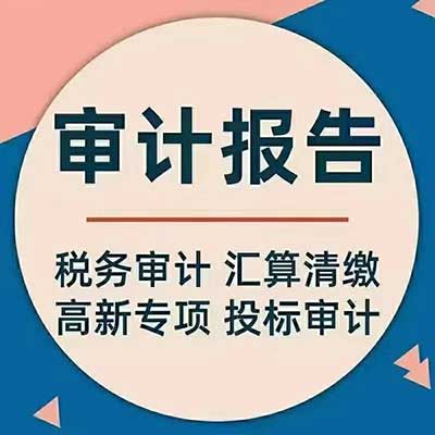 审计报告 资产评估报告 验资报告 高新专项审计报告