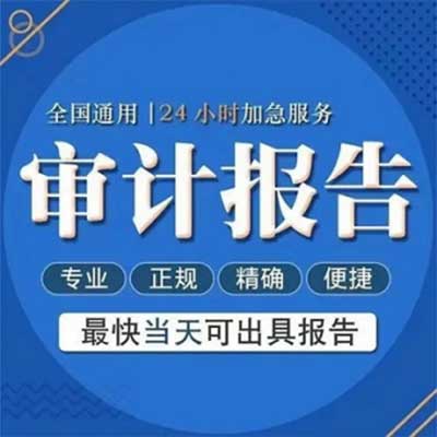 审计报告 资产评估报告 验资报告 高新专项审计报告