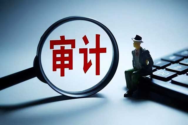 集团公司内部审计的内容是什么?