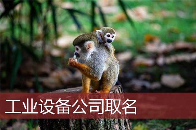 公司核名有什么取名方法吗?(图1)